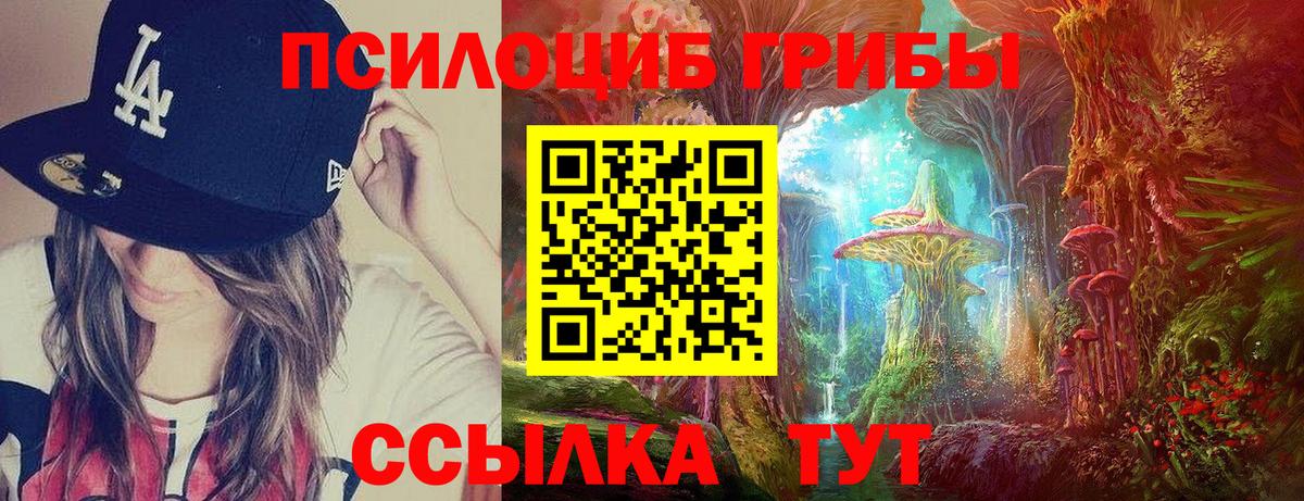 Псилоцибиновые грибы Psilocybine cubensis  Псилоцибиновые грибы Cubensis  Кандалакша  Вход с VPN 
